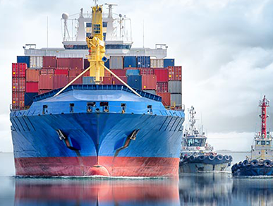 Marine Sector Services